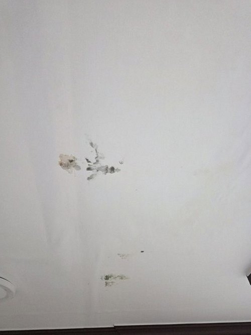 누수탐지 냉천동 누수탐지 아파트 안방 천장 얼룩의 기본 원리