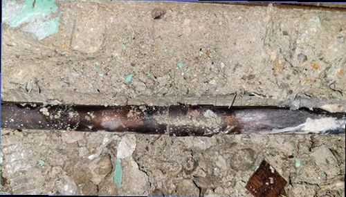 서울 중구 누수탐지 천장 물자국과 주변 벽면 상태를 확인하는 현장 점검 모습