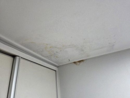 누수탐지 진리동 누수탐지 빌라 벽체 얼룩 당일 원인 확인
