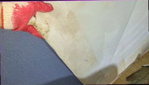 평택 누수탐지 천장 얼룩과 벽지 들뜸이 나타난 실내 누수 흔적
