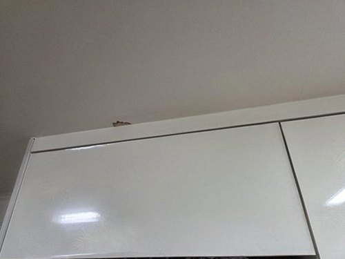 권선구 누수탐지 배관과 주변 구조의 상태를 장비로 점검하는 모습
