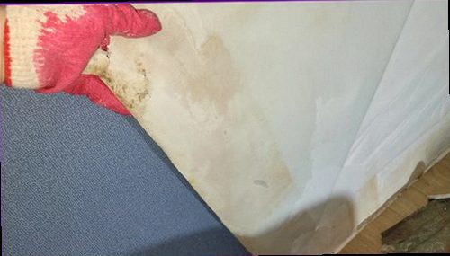 동탄구 누수탐지 천장 얼룩과 벽면 습기 흔적을 확인하는 모습