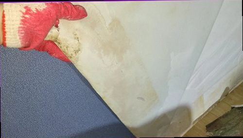 옹진군 누수탐지 욕실 벽면과 바닥의 누수 의심 흔적을 확인하는 모습