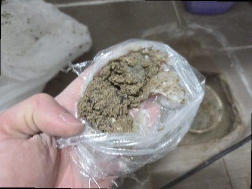 천안시 동남구 현장 확인