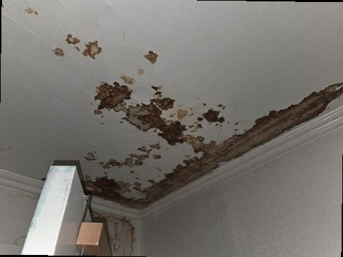 상록구 누수탐지 팔곡동 단독주택 거실 보일러실 앞 시공 후기 사진