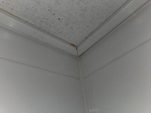 누수탐지 구산동 누수탐지 아파트 천장 얼룩 전 확인 항목