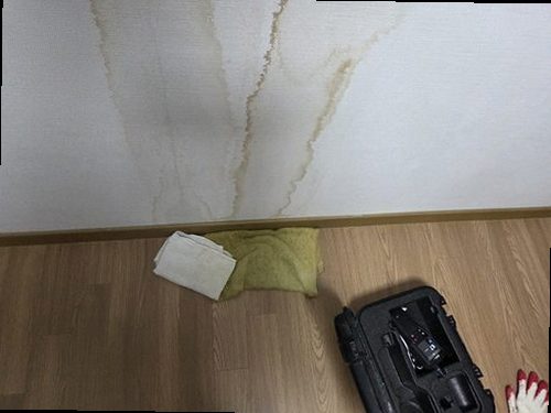 노원구 현장 확인