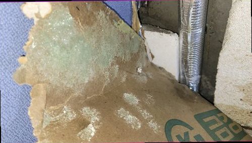 서대문구 누수탐지 누수 보수 후 천장 표면과 주변 습기 상태를 재확인하는 모습