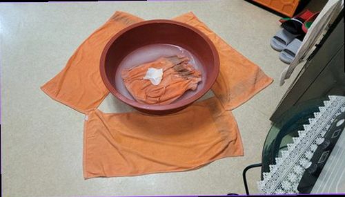 서울 중구 누수탐지 배관 압력과 벽면 수분 상태를 단계적으로 확인하는 현장 점검