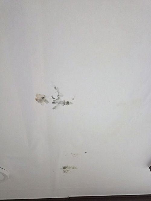 강서구 현장 확인