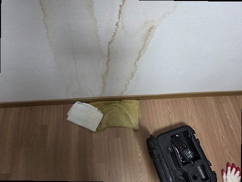 누수탐지 일죽면 누수탐지 거실도배물흐름 놓치기 쉬운 신호
