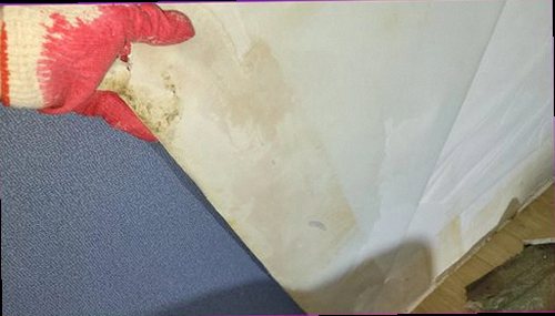 이천 누수탐지 천장 물자국과 벽면 습기 흔적을 확인하는 모습