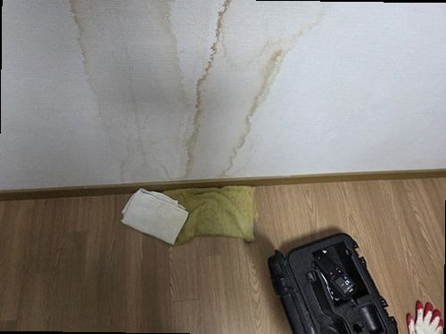 동두천 현장 확인