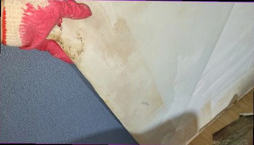 장안구 누수탐지 천장 얼룩과 벽면 습기 흔적을 확인하는 현장