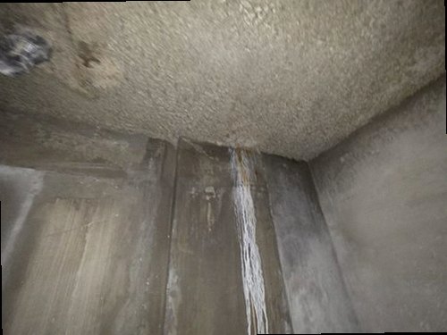 계양구 누수탐지 벽과 바닥의 누수 흔적을 점검하는 모습
