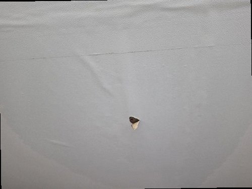 강화군 누수탐지 내가면 농가주택 1층 세탁실 벽면 시공 후기 사진