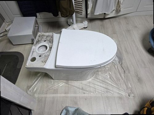 강화군 현장 확인