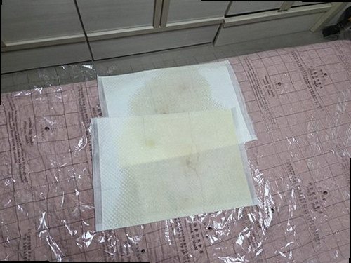 남동구 누수탐지 벽면 얼룩과 바닥 습기 등 누수 의심 흔적을 기록하는 모습