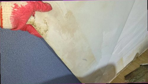 제물포구 누수탐지 누수 측정 장비로 욕실 벽체의 수분 범위를 확인하는 모습