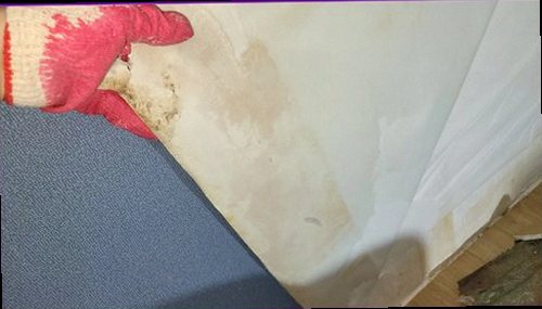 서해구·검단구 누수탐지 천장과 벽면의 누수 흔적을 확인하는 점검 과정