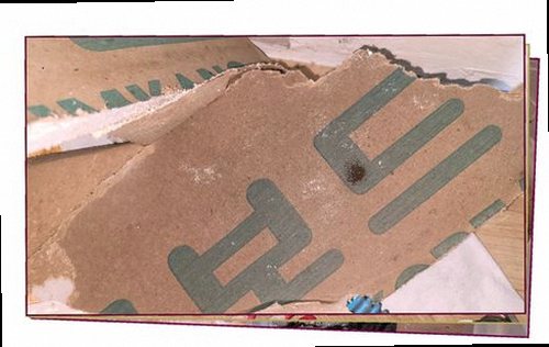 서해구·검단구 누수탐지 주방 하부장과 벽면의 습기 흔적을 확인하는 현장 모습