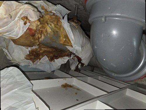 양천구 누수탐지 신월동 아파트 10층 다용도실 시공 후기 사진