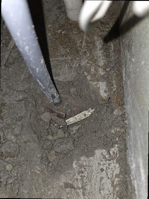 서해구·검단구 누수탐지 벽면 얼룩과 주변 마감 상태를 살피는 점검 모습