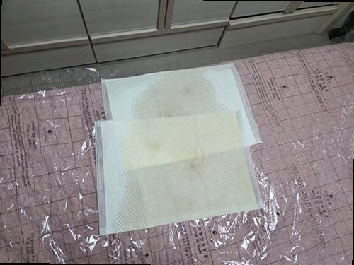 천안시 서북구 누수탐지 천장 물자국과 번진 범위를 확인하는 점검 장면