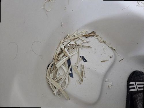 금천구 누수탐지 가산동 오피스텔 5층 욕실 천장 시공 후기 사진