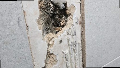 누수탐지 필동 누수탐지 당일 방문으로 빌라 벽면 물자국 원인 찾기