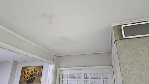 누수탐지 벽체 내부 수분 확산 경로를 점검하는 현장 장면