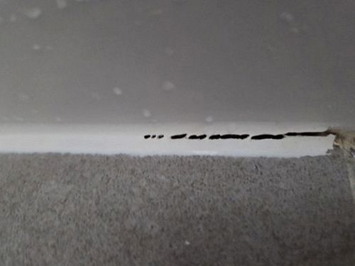 누수탐지 기산동 누수탐지 전 아파트 벽지 얼룩 점검 항목 정리