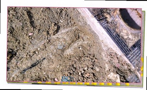 성북구 누수탐지 벽면 얼룩과 들뜬 벽지를 점검하는 모습
