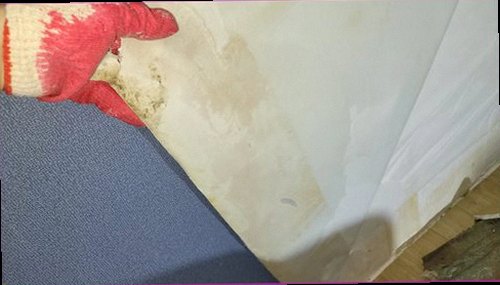 중랑구 누수탐지 배관 주변 수분 상태를 확인하는 현장 점검 모습