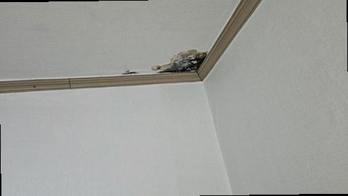 누수탐지 탑동 누수탐지 아파트 벽체 물샘 점검과 시공 중 선택 기준