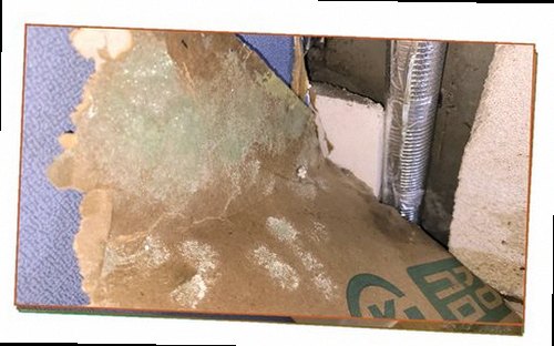 덕양구 누수탐지 벽면 얼룩과 배관 주변 상태를 확인하는 누수 점검 현장