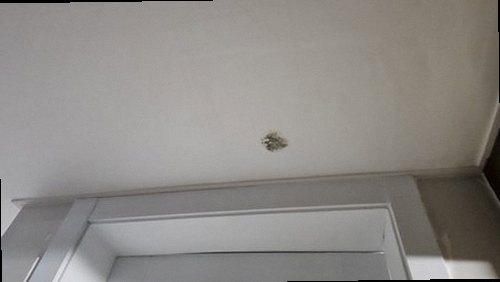 분당구 누수탐지 야탑동 오피스텔 6층 세탁실 시공 후기 사진