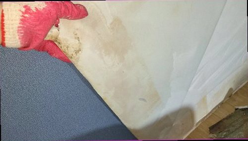 미추홀구 누수탐지 욕실 천장 얼룩과 배관 주변을 확인하는 현장 점검 모습