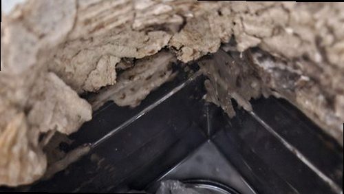 가평 누수탐지 북면 농가주택 1층 창고 벽 시공 후기 사진