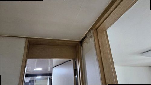 성북구 누수탐지 성북동 빌라 2층 거실 벽면 시공 후기 사진