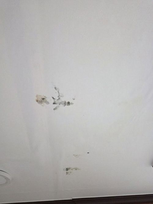 누수탐지 신정동 누수탐지 비용, 업체 고를 때 따져 볼 점