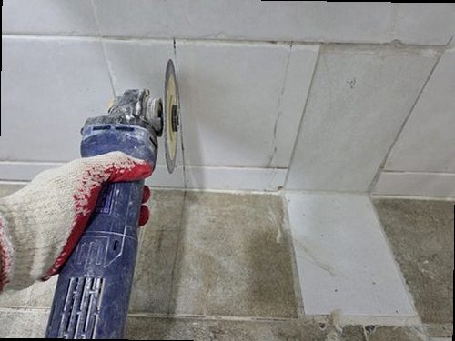 동대문구 현장 확인