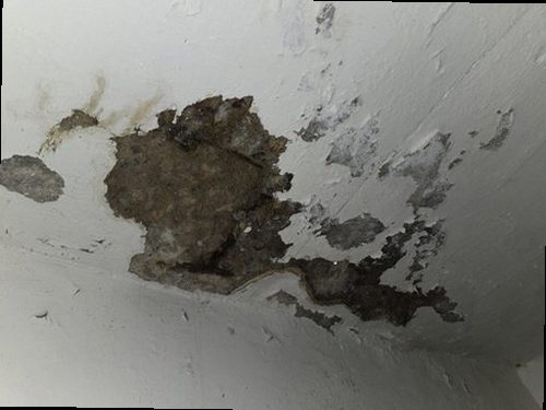 동대문구 누수탐지 종암동 다가구주택 5층 꼭대기방 시공 후기 사진