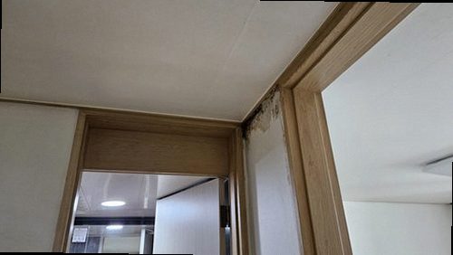 연천 누수탐지 중면 단독주택 1층 거실 안쪽 벽 시공 후기 사진