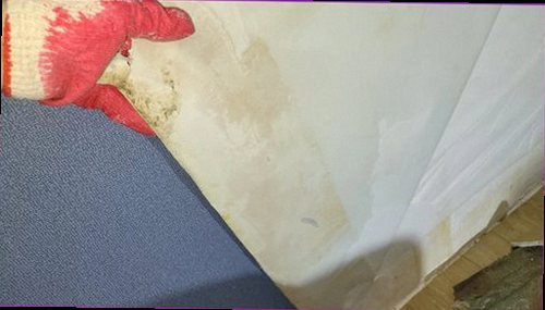 제물포구 누수탐지 바닥 습기와 보일러 압력 변화를 확인하는 점검 장면