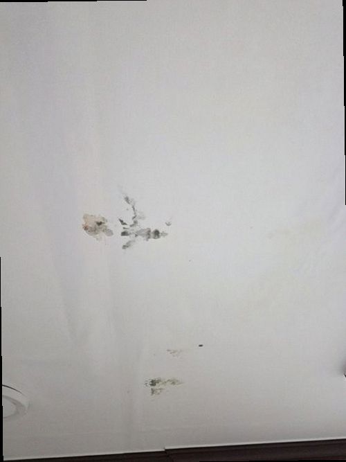 부산진구 출동 접수 부산진구 출동 접수