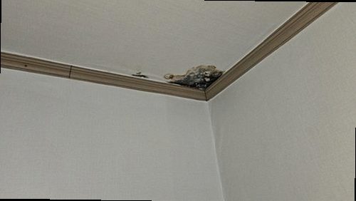 금산군 누수탐지 금산읍 아파트 5층 세탁실 바닥 시공 후기 사진