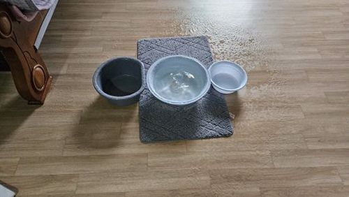 누수탐지 내덕동 거실 누수탐지, 처치 전후로 본 3단계 점검법