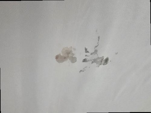 대전 서구 누수탐지 용문동 다세대주택 2층 거실 바닥 시공 후기 사진