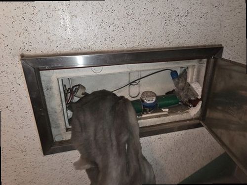 대전 서구 누수탐지 처치 전후 벽면 상태를 나란히 비교한 장면